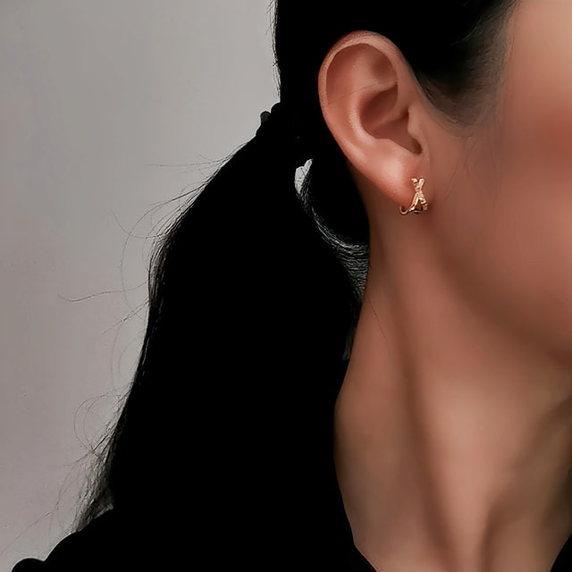 Cross Over Earrings