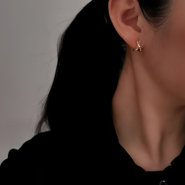 Cross Over Earrings
