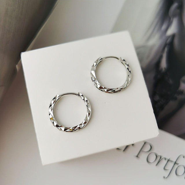 Faceted Sparkle Earrings