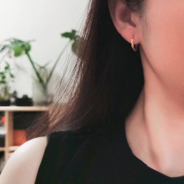 Faceted Sparkle Earrings